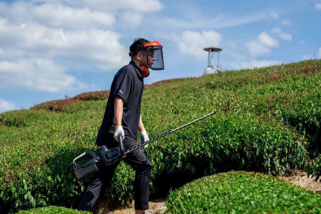 60V Battery Cordless Hedge Trimmer