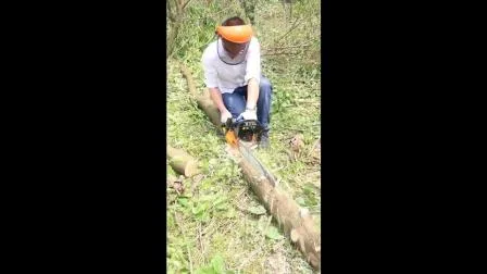 Sierra de cadena de alta calidad de 58 cc, sierra de gasolina, motosierra, herramienta de jardín